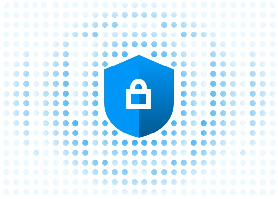 why dynadot security icon